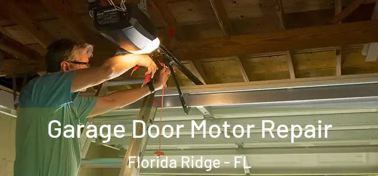  Garage Door Motor Repair Florida Ridge - FL