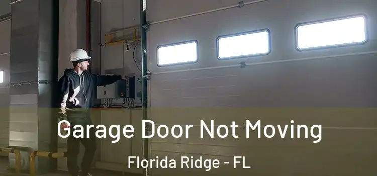  Garage Door Not Moving Florida Ridge - FL